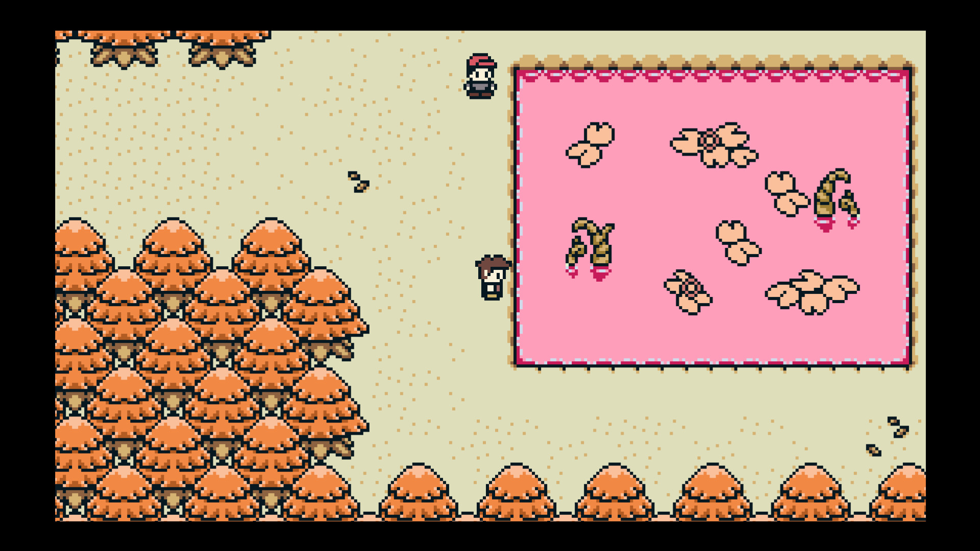 Pigbert screenshot 1