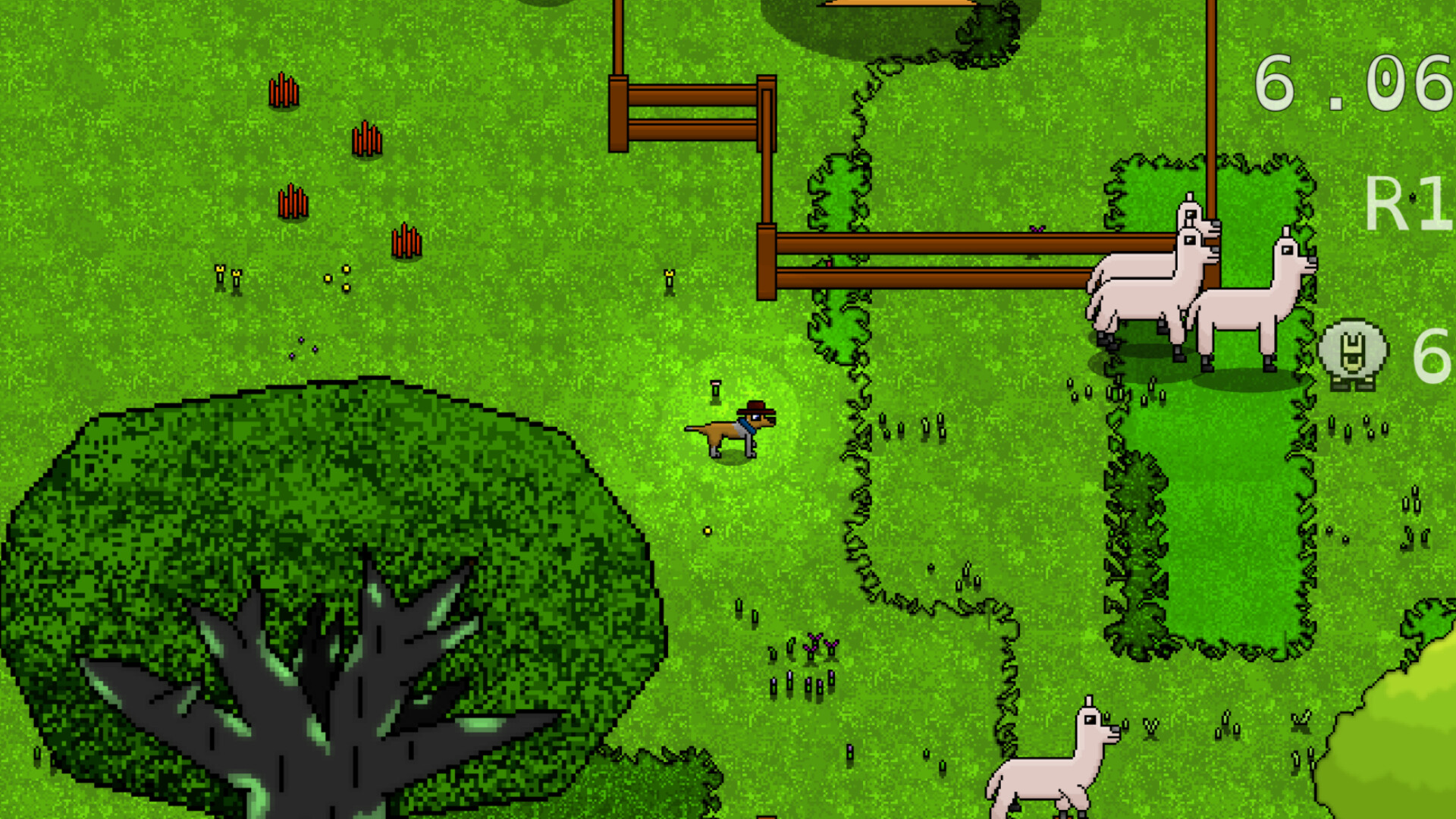 Bush Dog