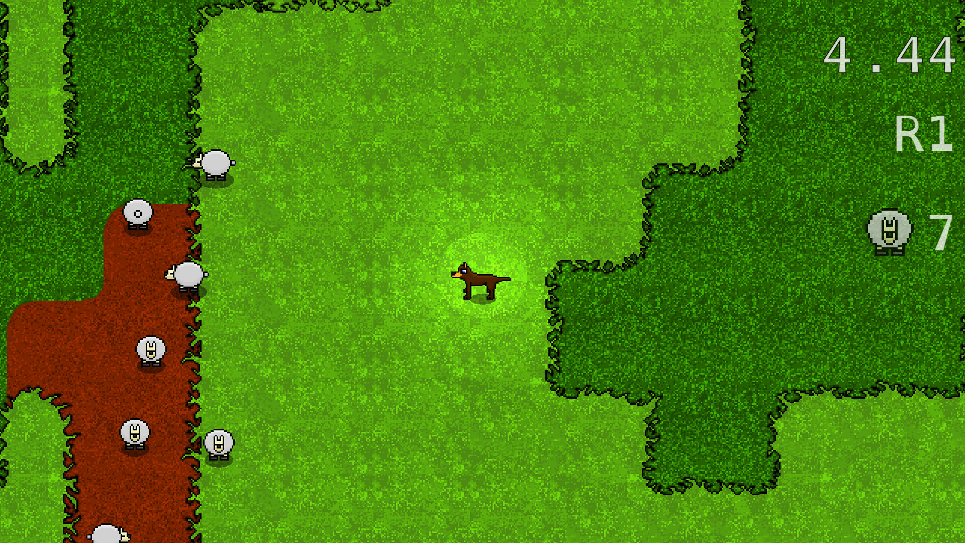Bush Dog