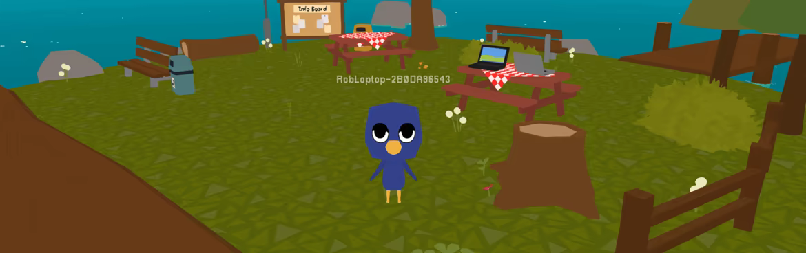 Birdweb video 1