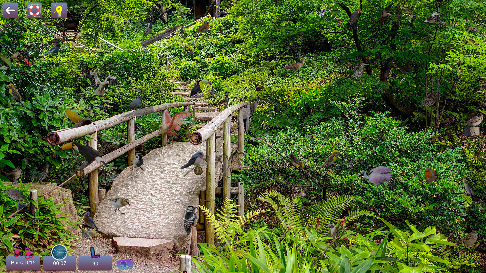 Hidden Pairs 3: Lovely Birds - Hidden Objects screenshot #1