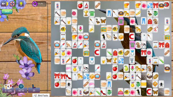 Hidden Pairs 3: Lovely Birds screenshot 5