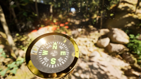 Misty Onsen - Golden Compass Supporter Pack.