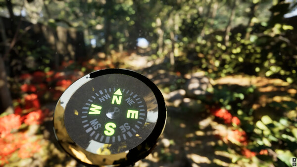 Misty Onsen - Golden Compass Supporter Pack.