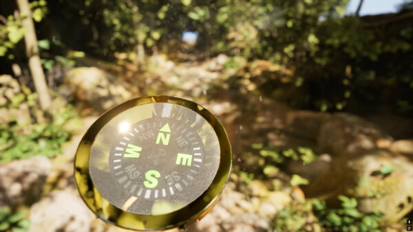 Misty Onsen - Golden Compass Supporter Pack.