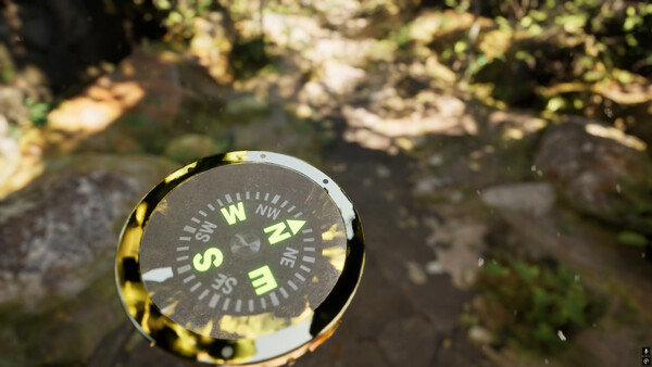 Misty Onsen - Golden Compass Supporter Pack.