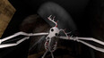 Captura de ecran #2