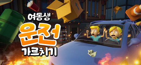 여동생 운전 가르치기