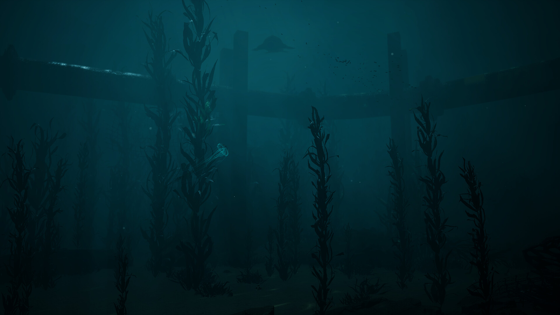 JELLYFISH screenshot 4