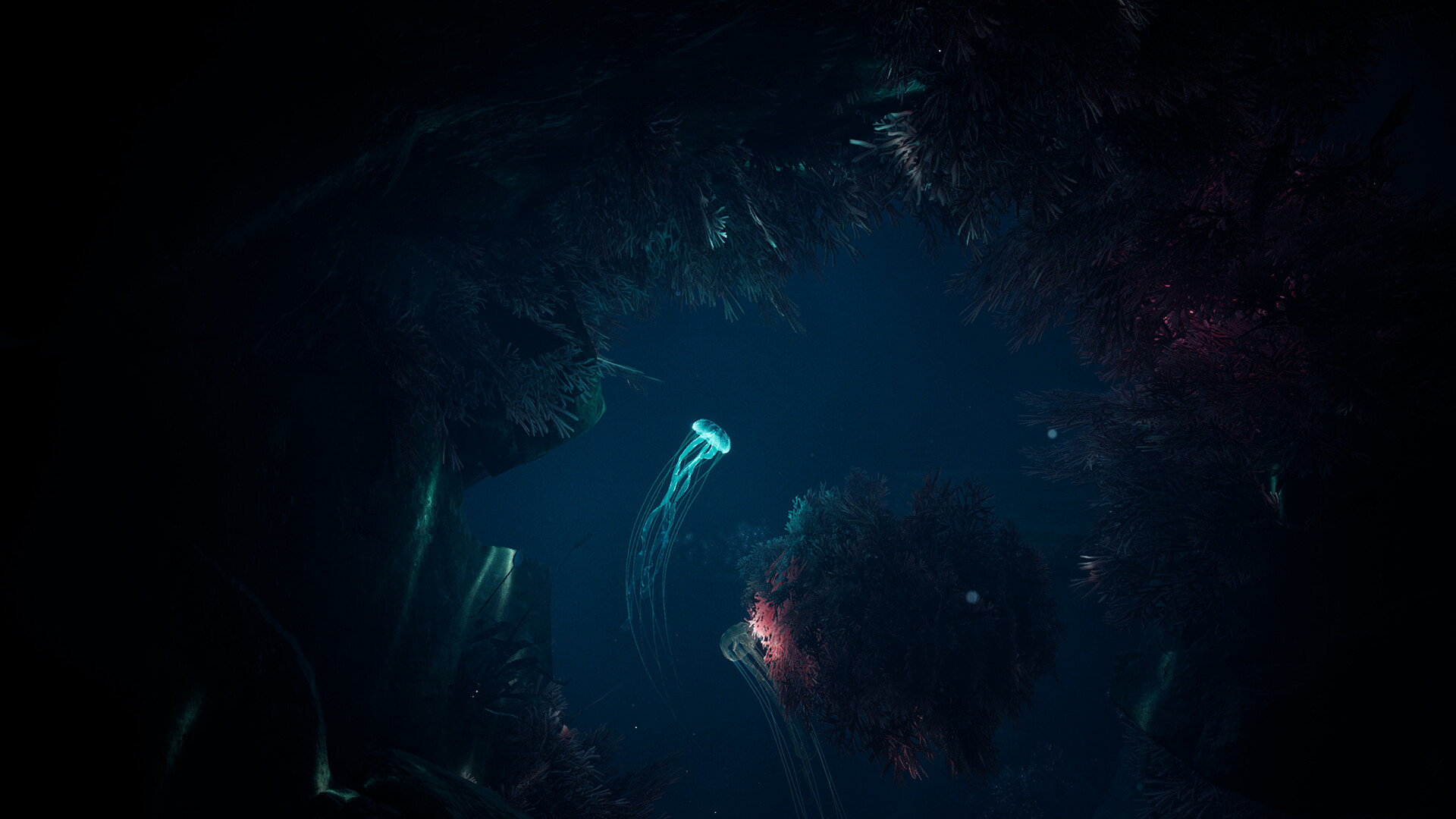 JELLYFISH screenshot 6