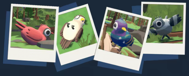 BirdseedVR video 2