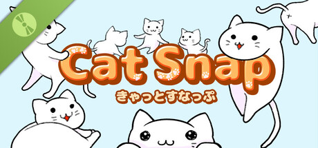 CatSnap Demo