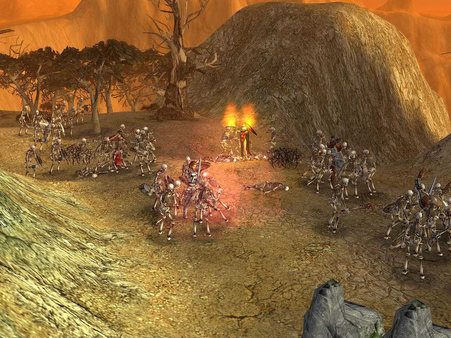 SpellForce - Platinum Edition