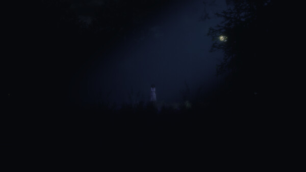 Screenshot of Untold Memories: Potter's Field