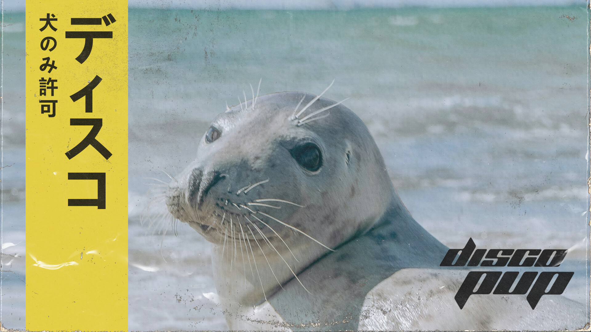 DISCOPUP - Complete Soundtrack  Featured Screenshot #1