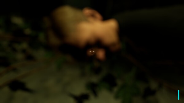 Ruins Of Fearfor windows and Linux 1