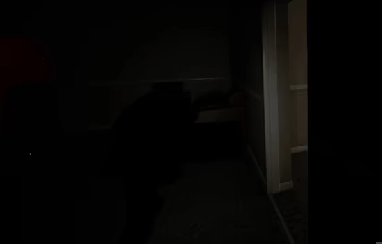 Backrooms: Missing Persons video 3