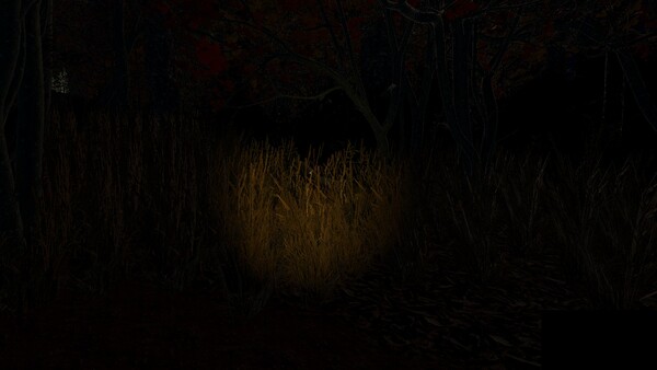 Echoes of the Wind screenshot 3