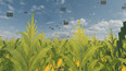 Screenshot #6