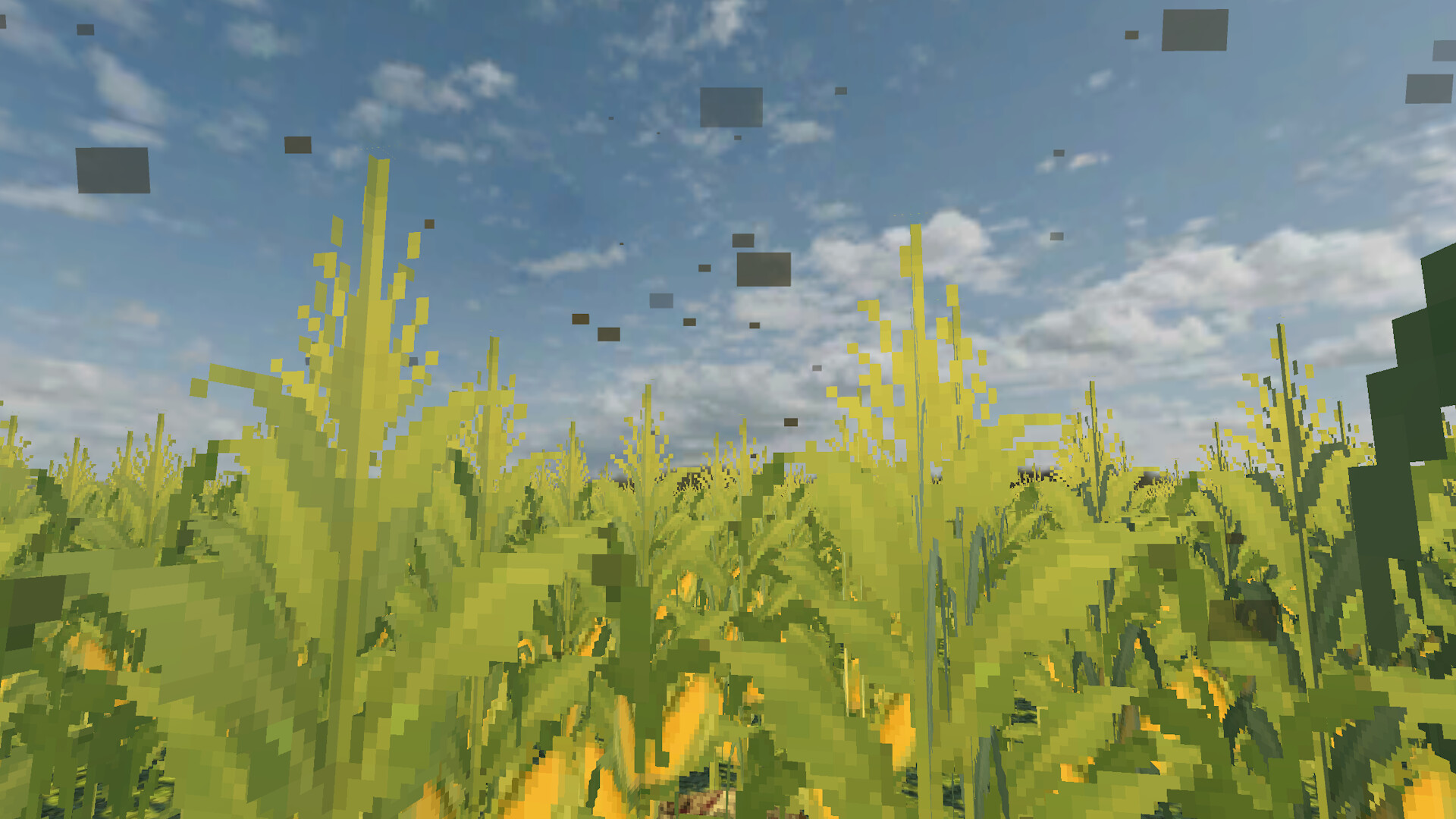 The Field Between screenshot #4
