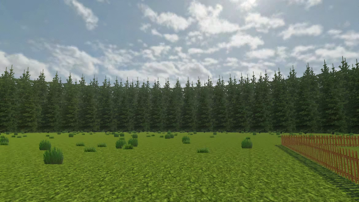 The Field Between video 3