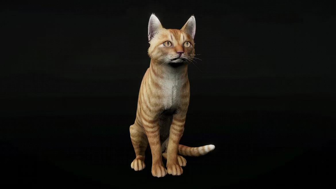 Alley Cats Idle video 1