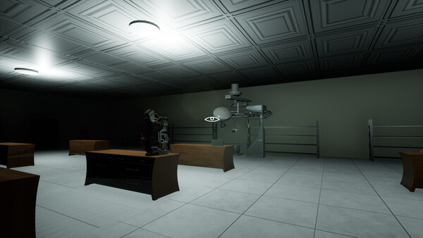 Arsonist '24 Director's Cutfor windows and Linux 1