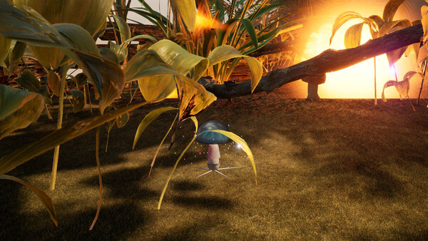 The Mushroom Adventrue:Call of Distant Realms.