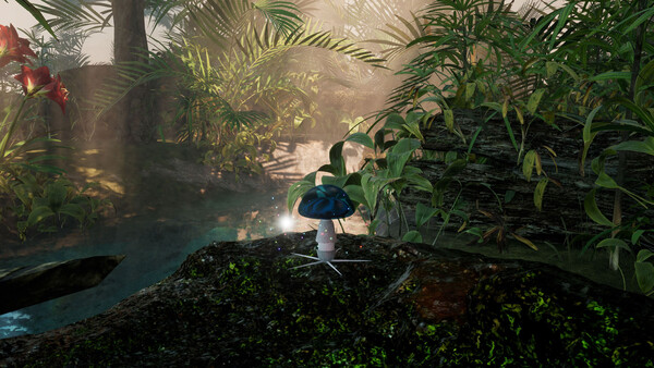 The Mushroom Adventrue:Call of Distant Realms.