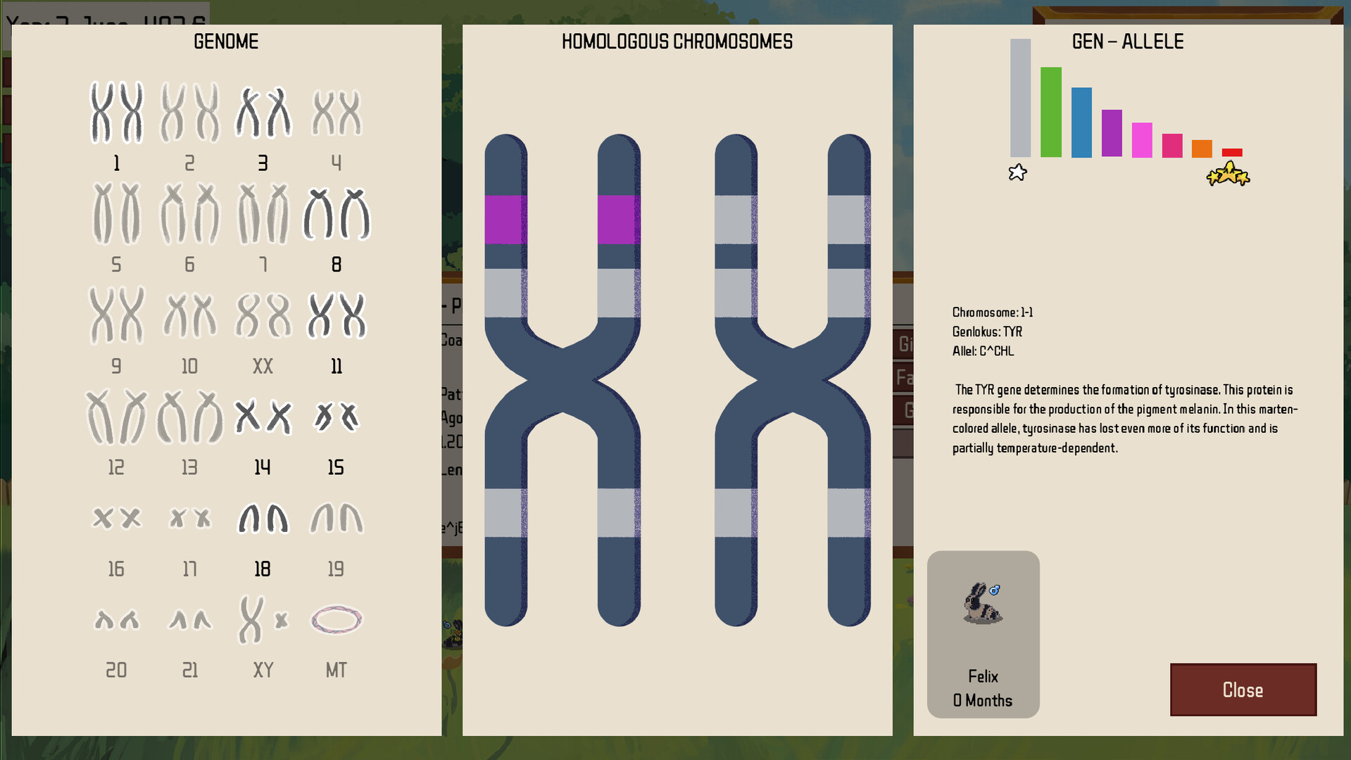 Rare Rabbits - Snuggle Haven screenshot #5