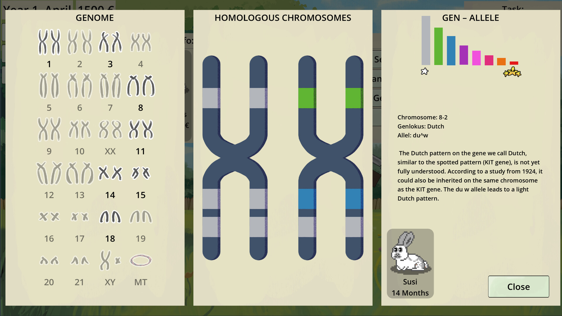 Rare Rabbits - Snuggle Haven screenshot #3