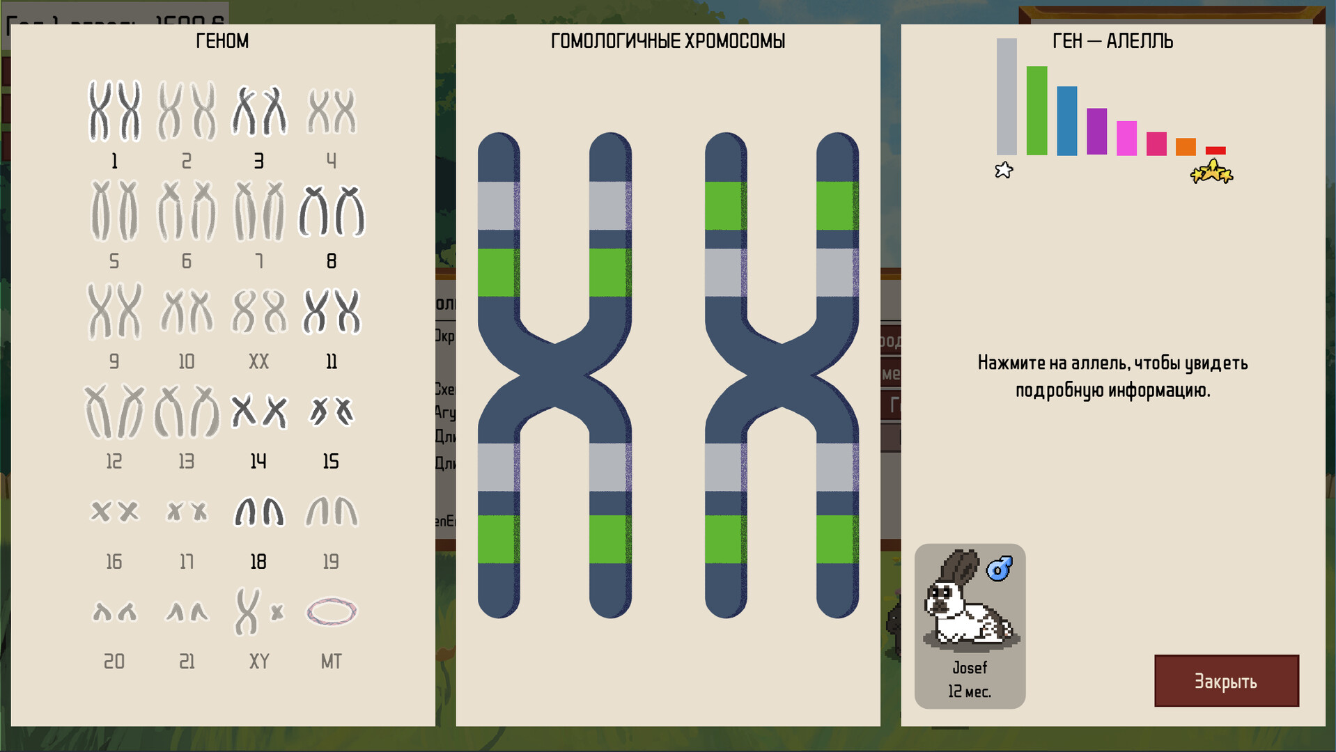 Rare Rabbits - Snuggle Haven screenshot 3