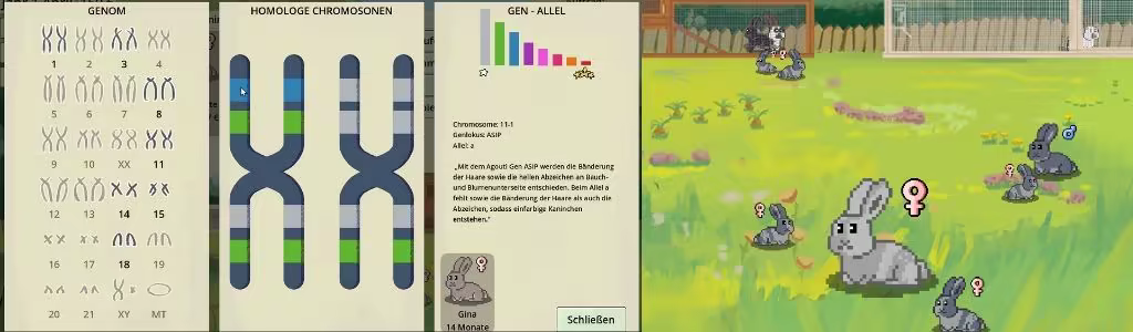 RareRabbits - Snuggle Haven screenshot 3