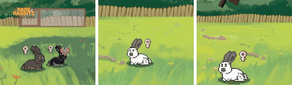 RareRabbits - Snuggle Haven video 5