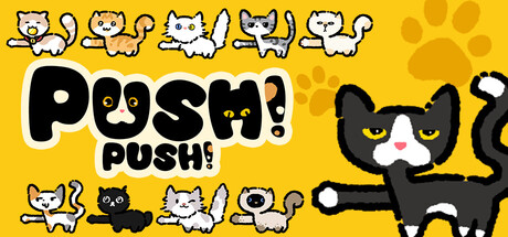 Push Push game cover
