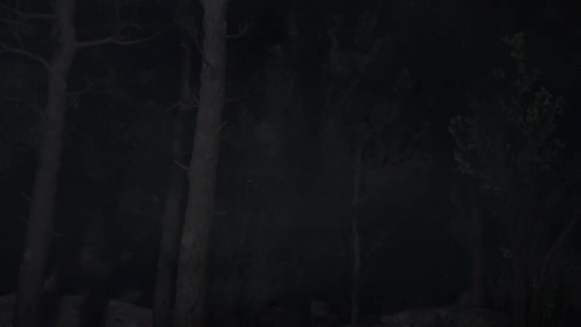 Blood & Silence screenshot 1
