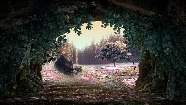 Screenshot of Cucina Stellata