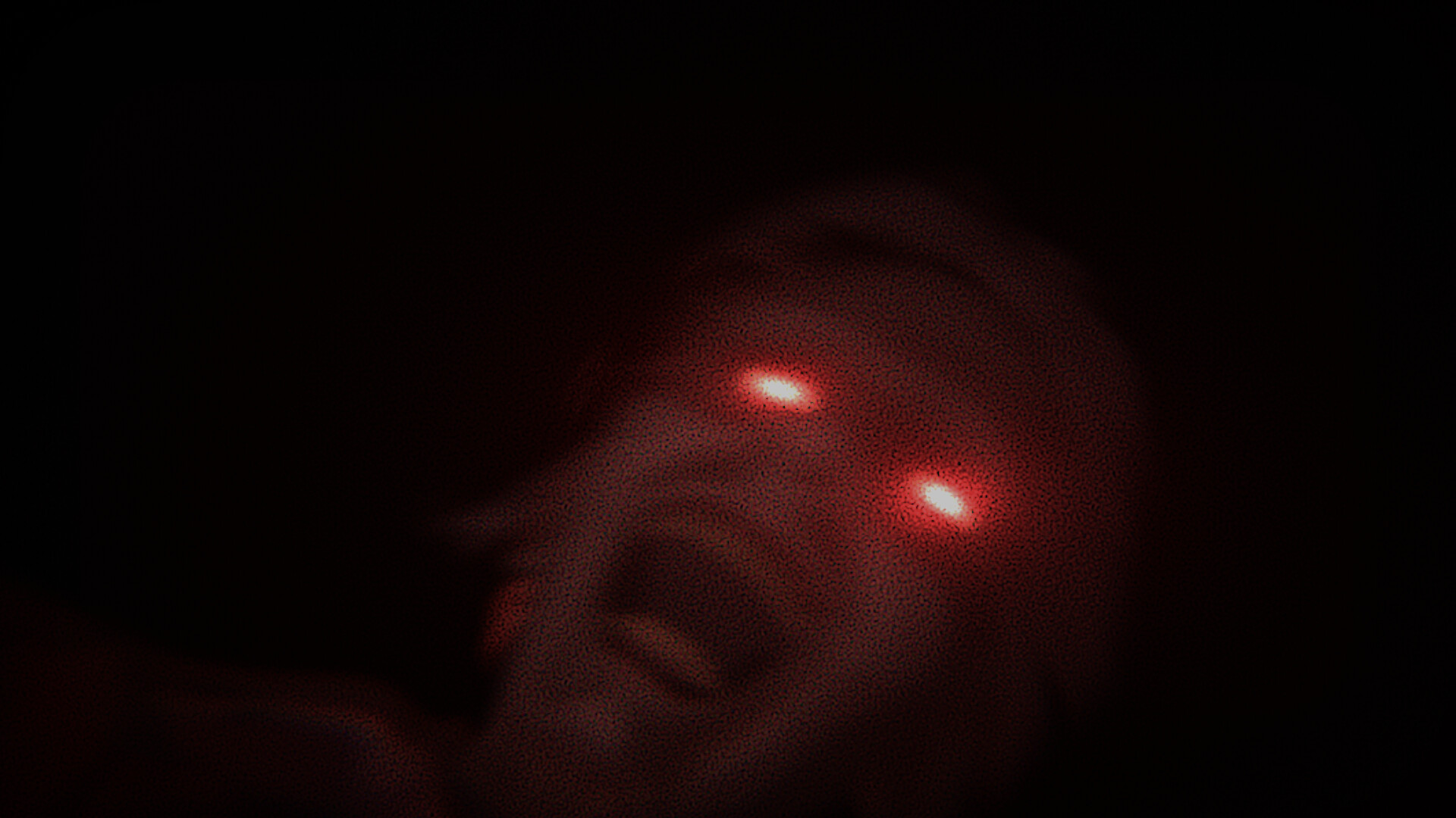 DON'T LOOK AT GRANDMA screenshot #7