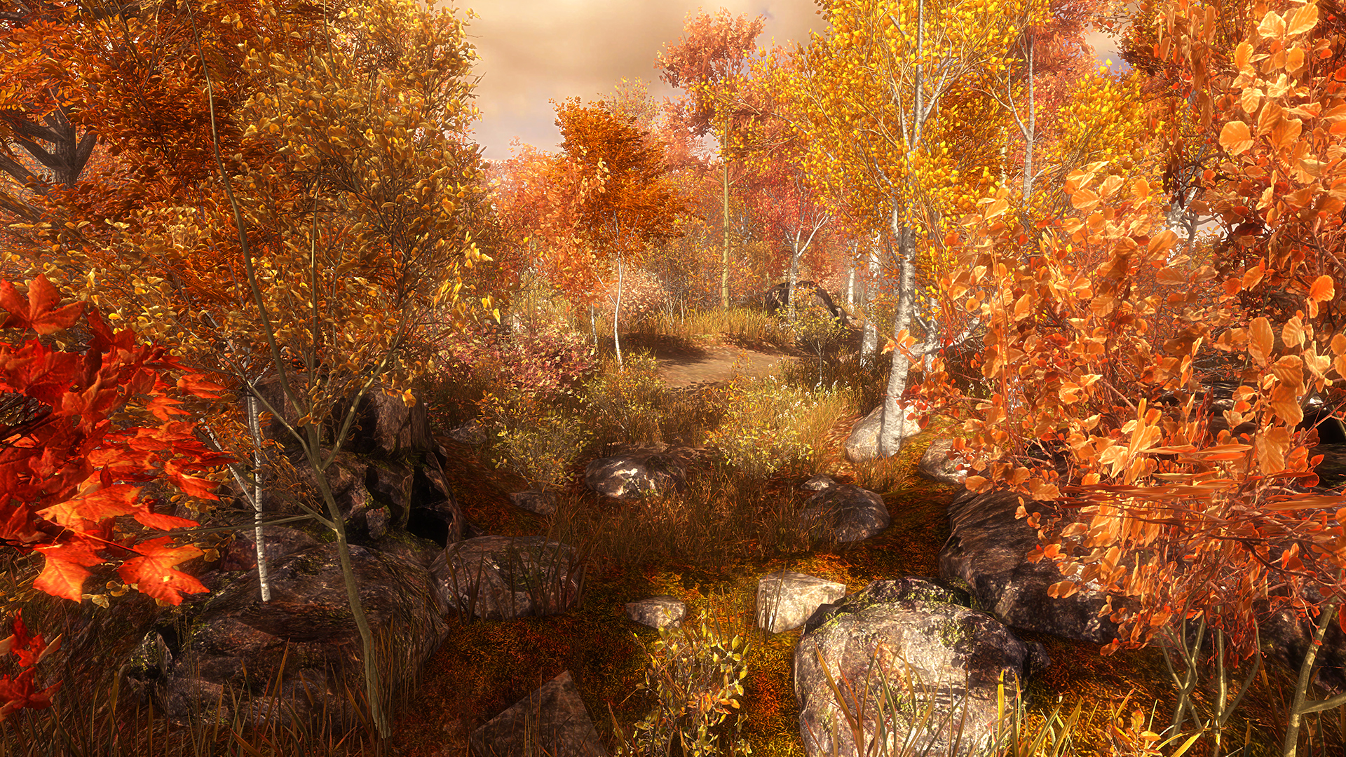 Guided Meditation VR