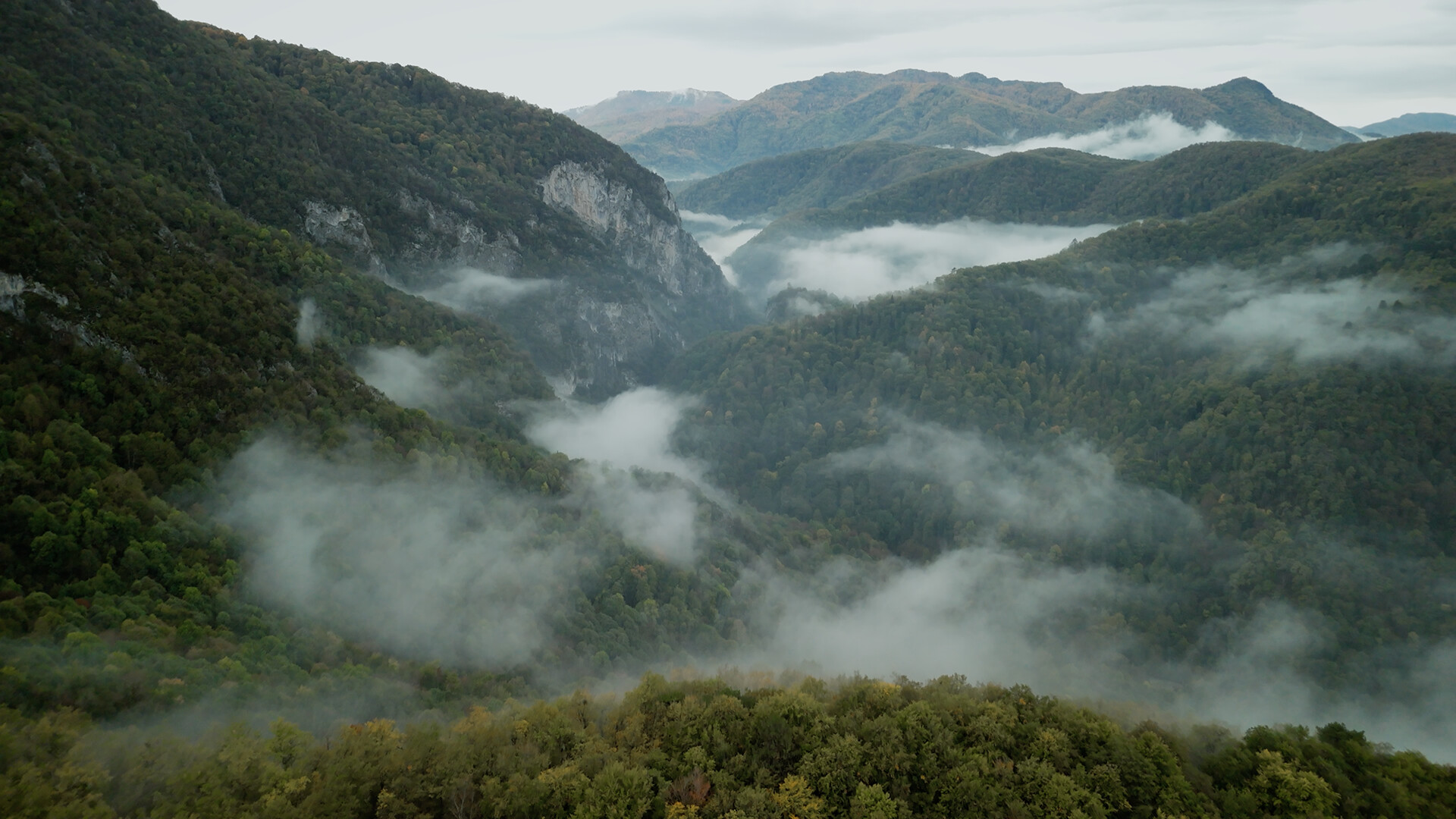 Wordless Forest screenshot