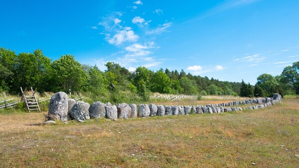 The Game Maker: A Carol Reed Mystery game for windows Pc 1