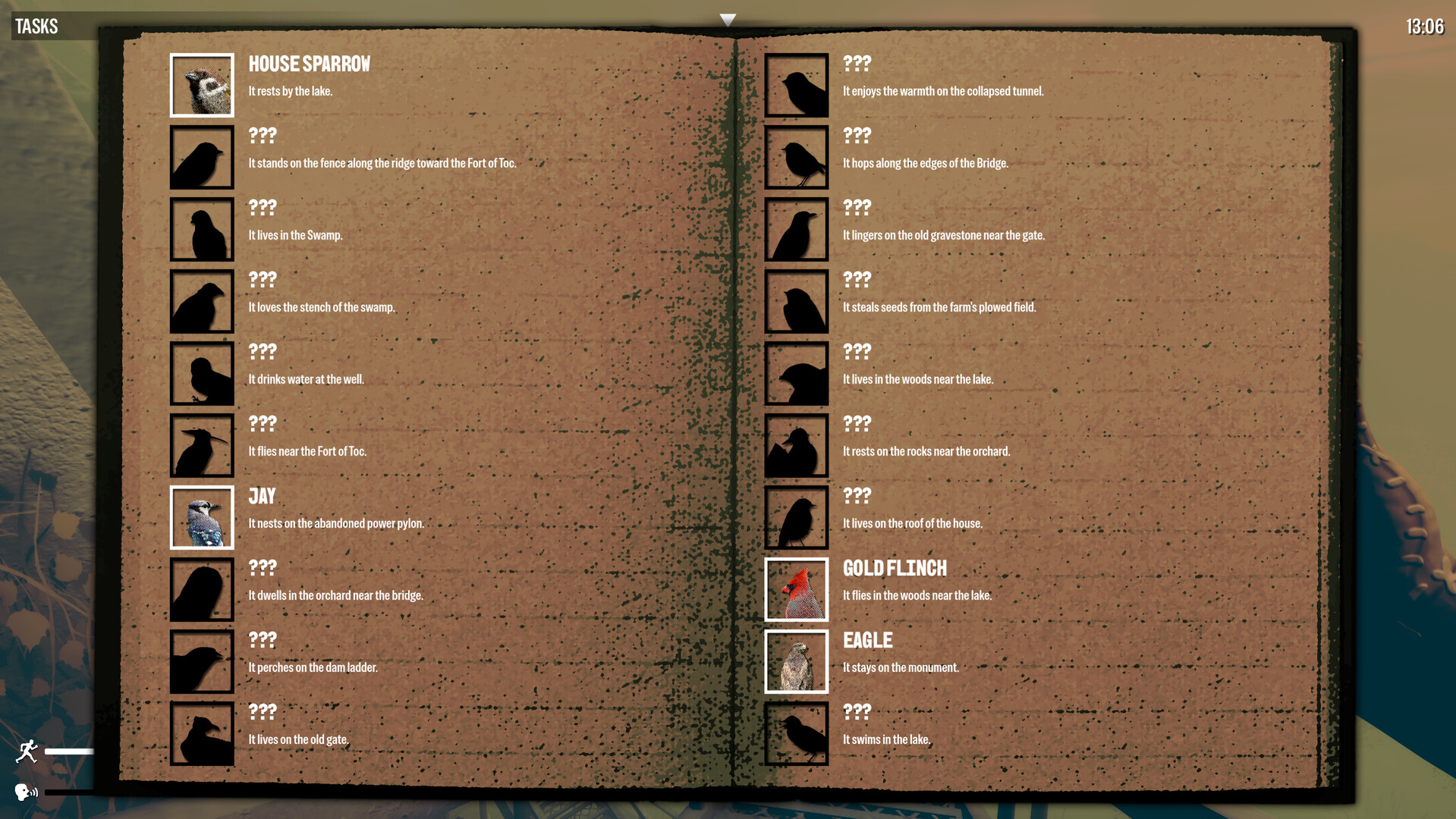 Birds Watching screenshot thumbnail screenshot 3