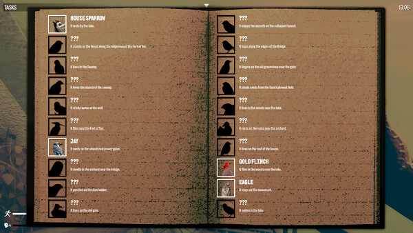 Screenshot of Birds Watching