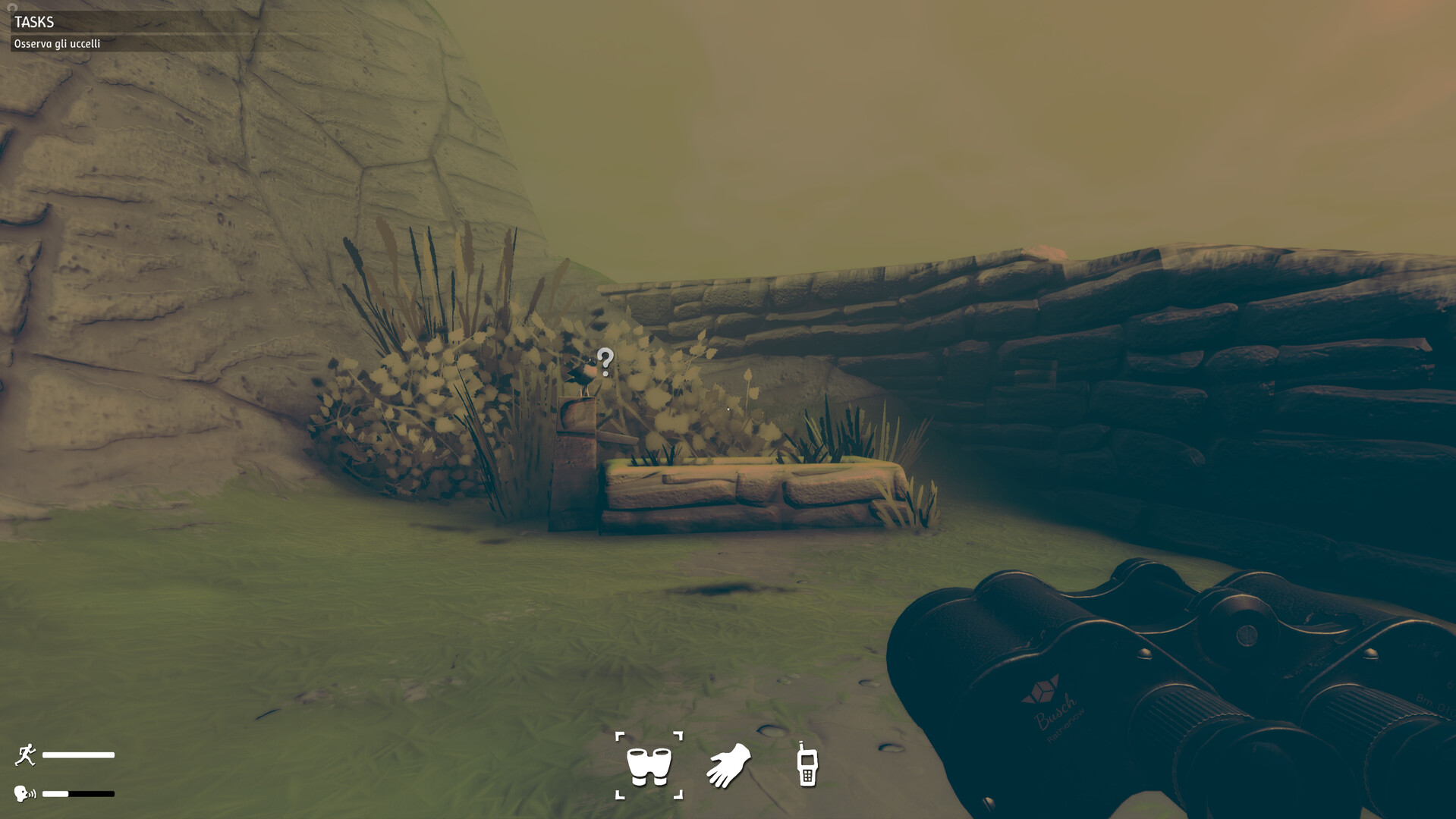 Birds Watching screenshot #5