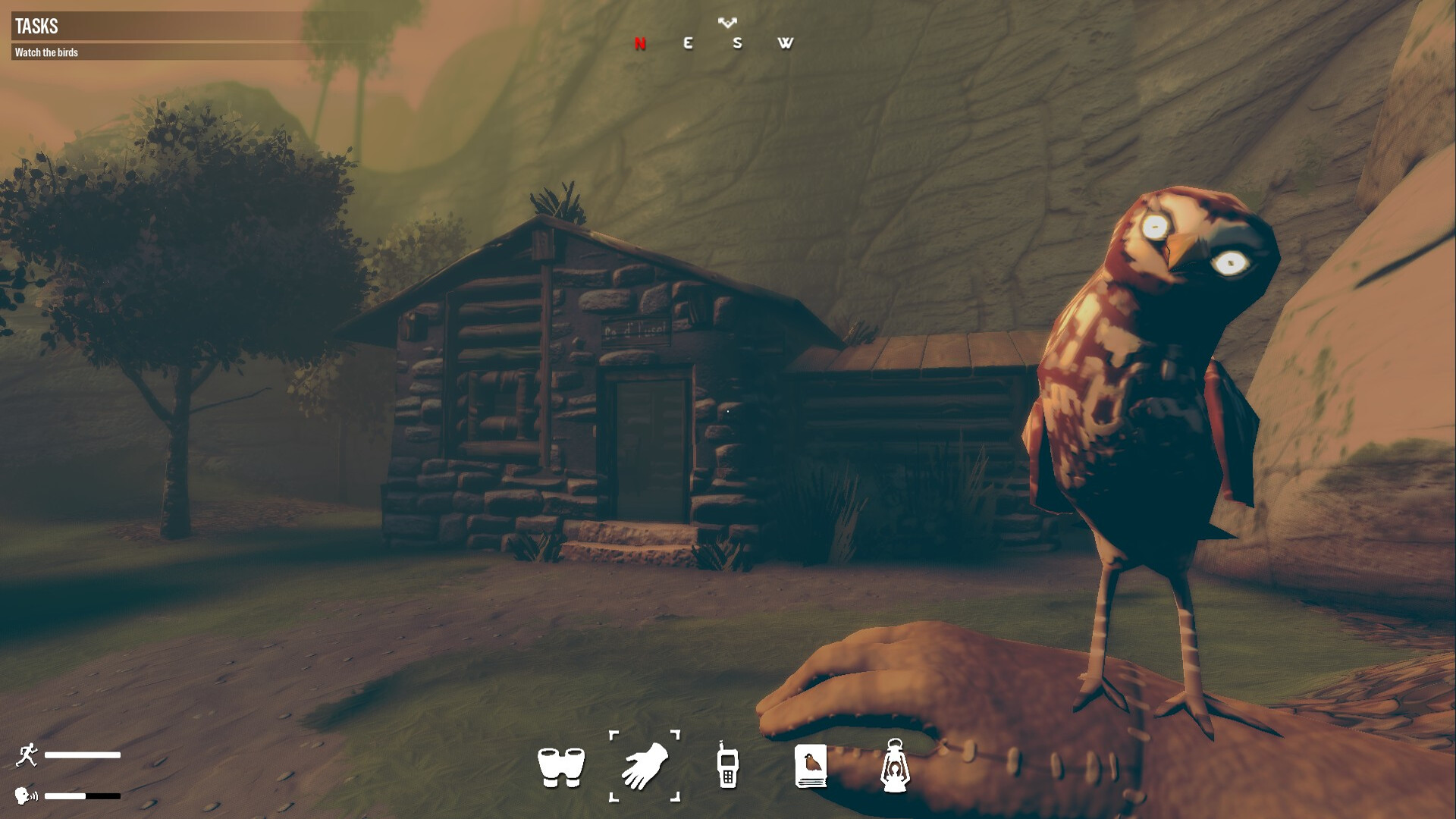 Birds Watching screenshot screenshot 1