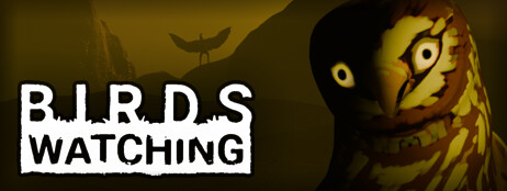 Birds Watching cover art