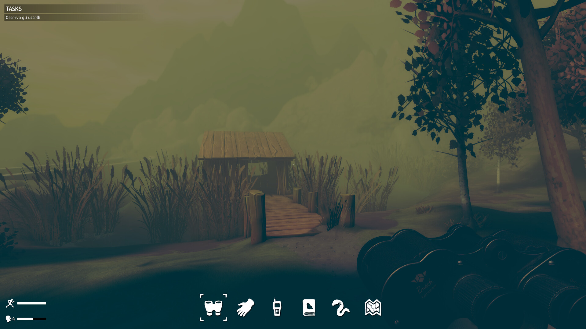 Birds Watching screenshot #1