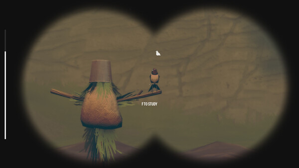 Screenshot of Birds Watching