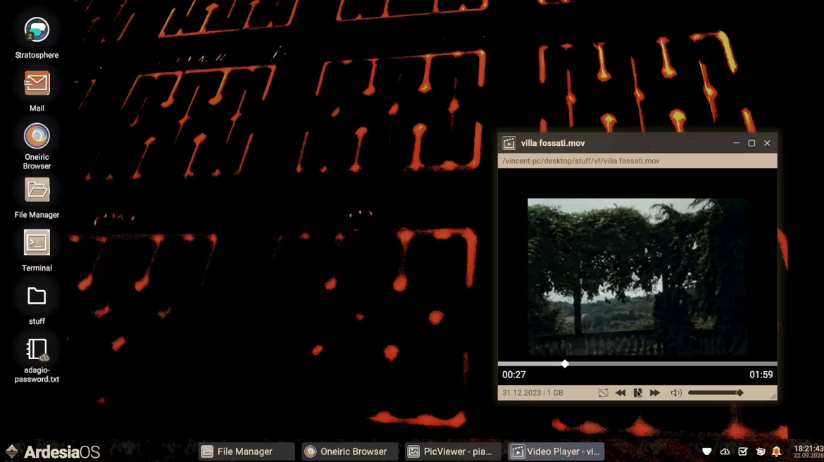 Imprinted video 2