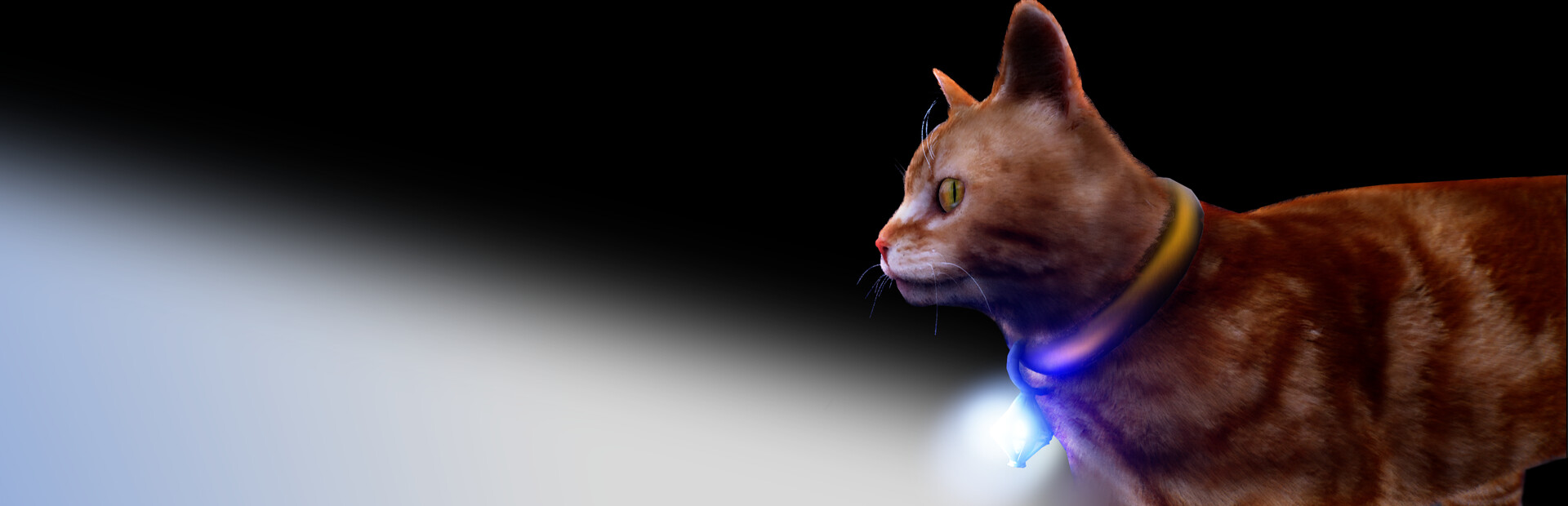 Meow Familiar World
